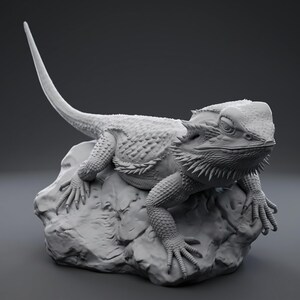 High-detail 3D printed miniature of a Bearded Dragon (Pogona) captured in a natural basking pose on a textured rock, showing intricate scale patterns from a low-angle perspective. Printed in grey using Anycubic Standard Resin V2 at 14K resolution. Ideal for painters and collectors. 🐉🦎 #3dprinting #beardeddragon #minipainting
