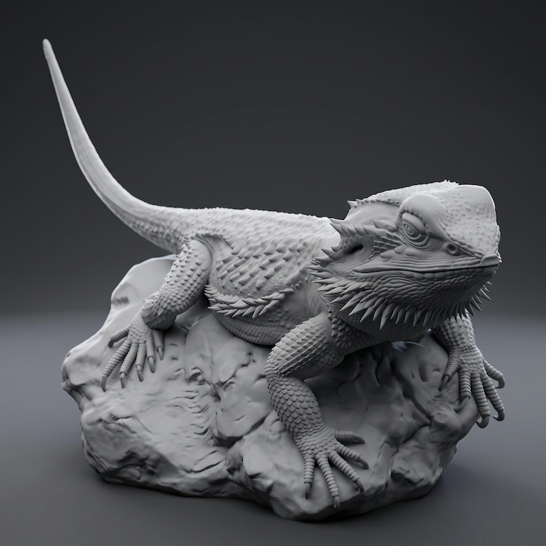 High-detail 3D printed miniature of a Bearded Dragon (Pogona) captured in a natural basking pose on a textured rock, showing intricate scale patterns from a low-angle perspective. Printed in grey using Anycubic Standard Resin V2 at 14K resolution. Ideal for painters and collectors. 🐉🦎 #3dprinting #beardeddragon #minipainting