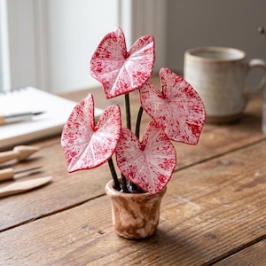 May include: A small decorative plant featuring five heart-shaped leaves with a white base and vibrant red speckled patterns. The leaves are attached to dark stems and are potted in a small, round, marbled brown and tan ceramic container.