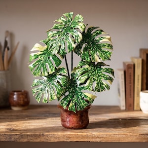 May include: A decorative potted plant featuring variegated monstera leaves with distinct green and cream-colored patterns. The plant is housed in a small, round, reddish-brown glazed ceramic pot with a smooth, glossy finish and a flared rim.