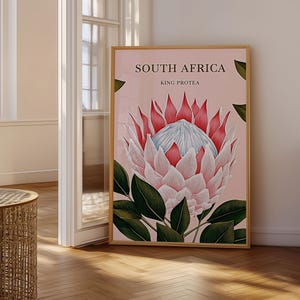 Op de afbeelding: Een ingelijste verticale wandkunstprint met een grote, gedetailleerde illustratie van een Koningsprotea-bloem met roze en witte bloemblaadjes op een zachtroze achtergrond. De tekst SOUTH AFRICA en KING PROTEA staat in het zwart bovenaan.