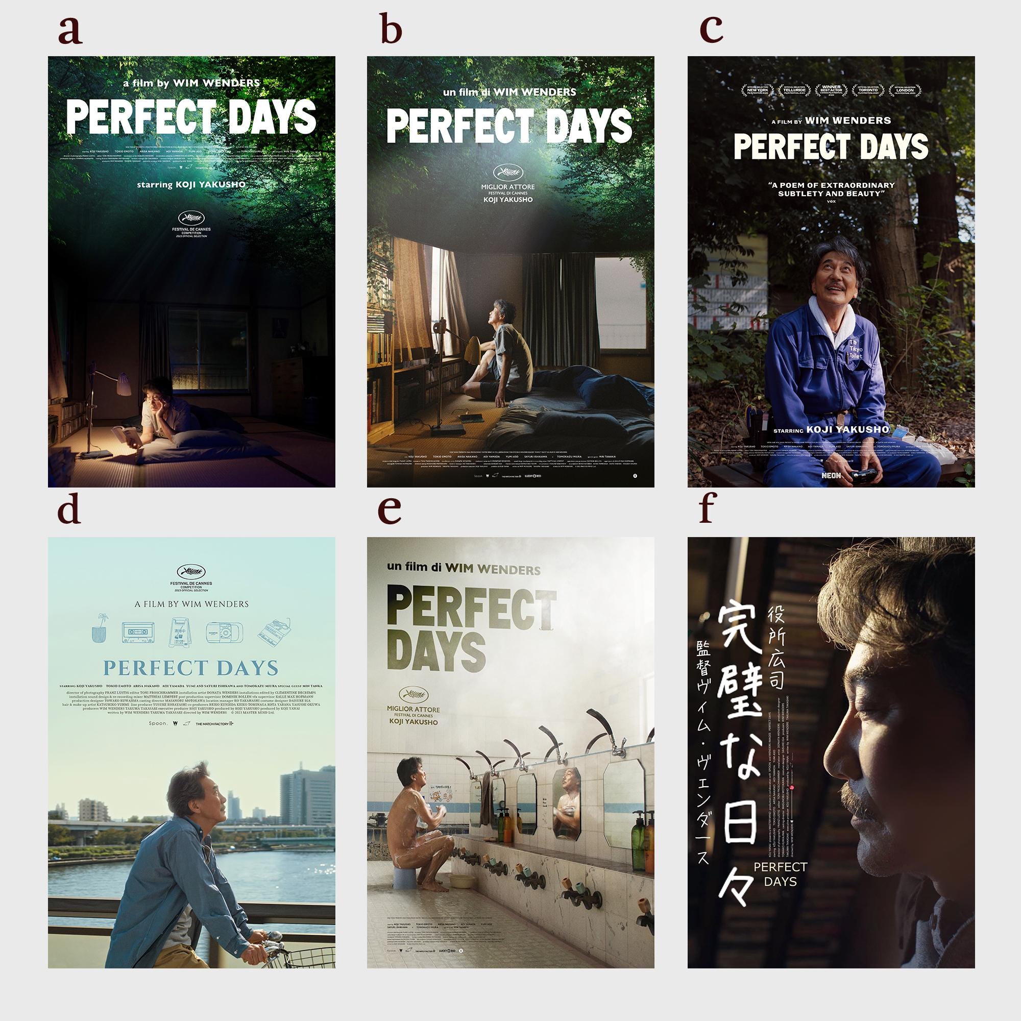 Perfect Days Film Poster - Etsy