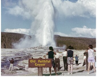 Old Faithful in Yellowstone Original 1960s Nostalgic Picture for Home Decor