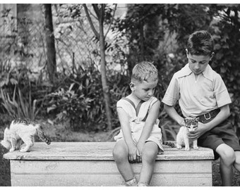 Boys Play with Kittens, Vintage 1920s Photo from Original Negative BW or Colorized