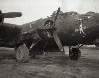 Military WWII Historical Photo from Original Negative, B17 Nose Art Dinah-Mite Bomber 8x14