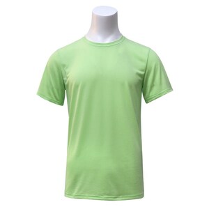May include: A plain, light green t-shirt with short sleeves and a crew neck.