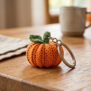 Può includere: Un piccolo portachiavi a forma di zucca lavorata all'uncinetto di colore arancione, con una superficie a coste testurizzata e un gambo verde all'uncinetto con una singola foglia. Un anello in metallo argentato è fissato al gambo.