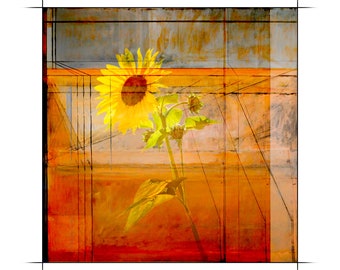 Square 135, Prayer for Ukraine