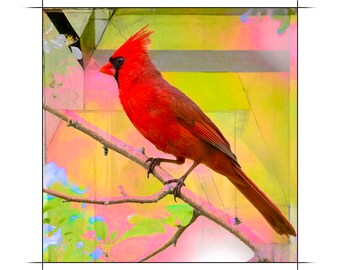Square 58, Red Bird