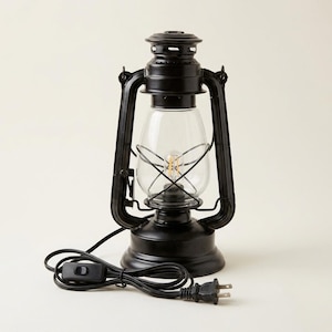 Puede incluir: Una linterna eléctrica de color negro mate con un globo de cristal transparente, una jaula protectora de alambre y un asa superior. Incluye un cable de alimentación negro con interruptor integrado y un enchufe eléctrico estándar.