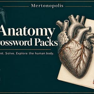 Puede incluir: Un gráfico verde azulado oscuro con el texto Mertonopolis, Anatomy Crossword Packs y Print. Solve. Explore the human body. La imagen incluye una ilustración detallada de un corazón anatómico, un lápiz, papel y parte de un cráneo y esqueleto.