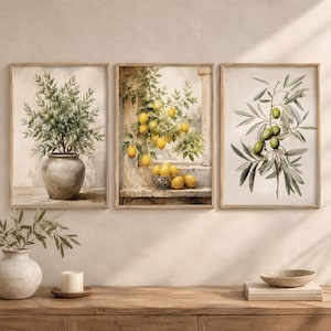 Olive Print Set, Three-Piece Botanical Wall Art, Mediterranean Decor