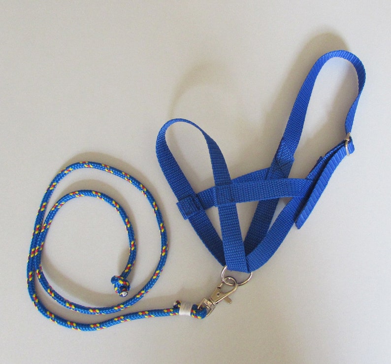 Blue halter and lead rope for hobbyhorsing horse stick Etsy