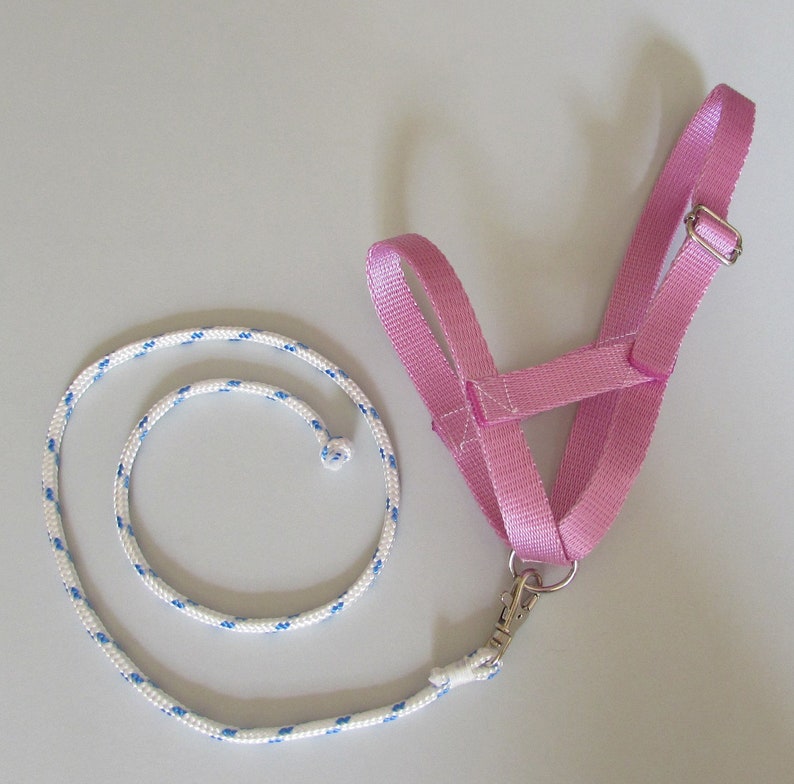 Pink Halter and Lead Rope for Hobbyhorsing Horse stick Etsy