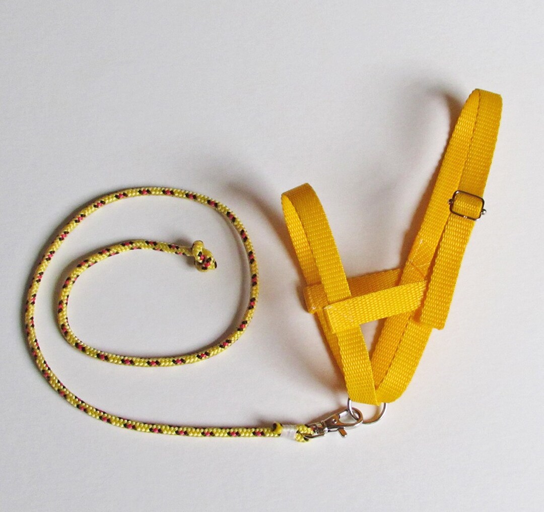 Yellow Rope Halter Yellow Webbing Halter With Patterned Lead Rope for Hobby Horse - Etsy