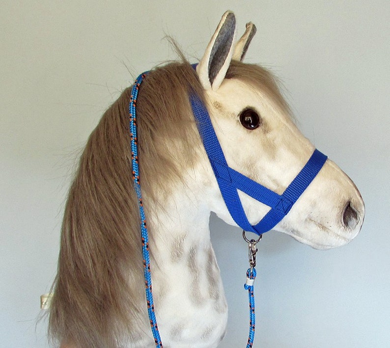 Blue halter and lead rope for hobbyhorsing horse. bing Etsy