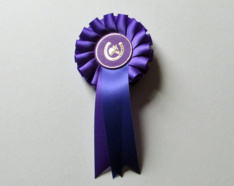 Rosette show ribbon for hobby horse. Purple satin with Etsy