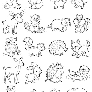 Op de afbeelding: Een verzameling zwart-wit lijntekeningen met diverse bosdieren, waaronder een beer, vos, wasbeer, eekhoorn, eland, bever, das, uil, stinkdier, egel, wolf, hert, konijn, stekelvarken, otter, muis en een jong hertje.