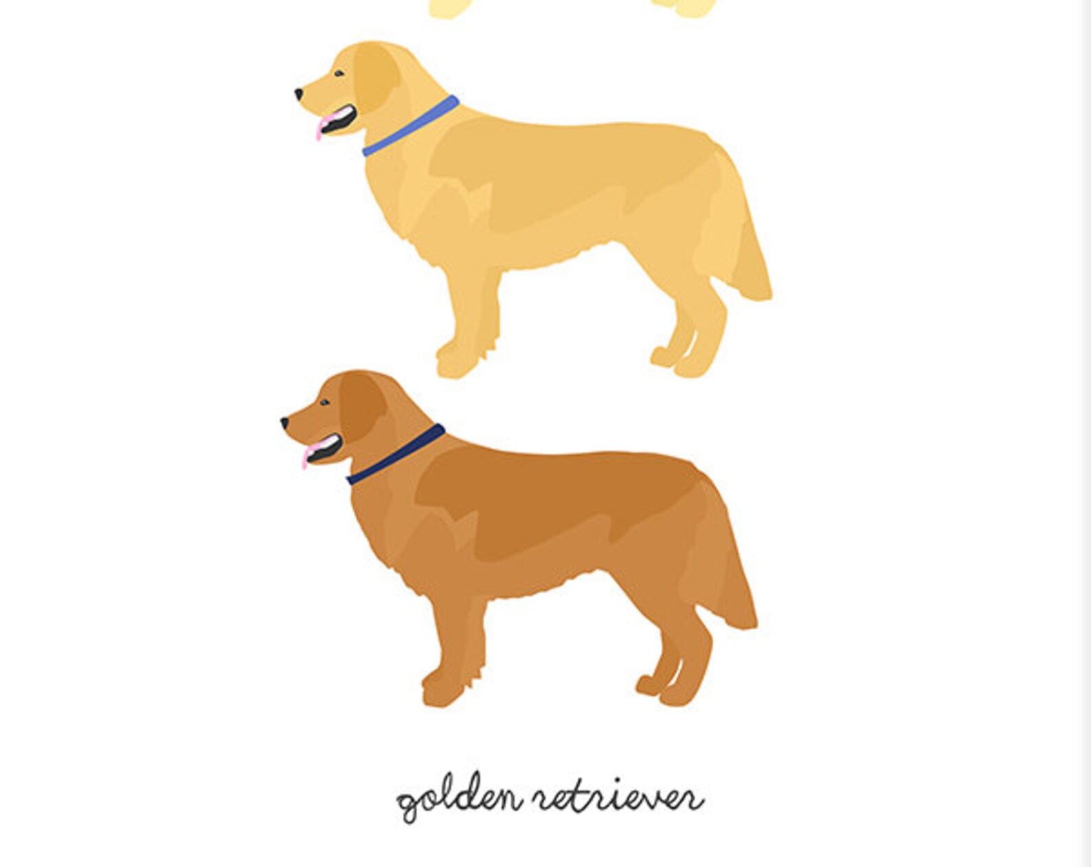 Golden Retriever Color Chart Art Print Modern Dog Art Etsy