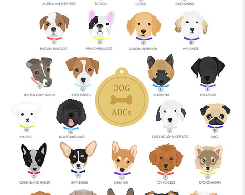 Dog Alphabet Nursery Art Print image 4