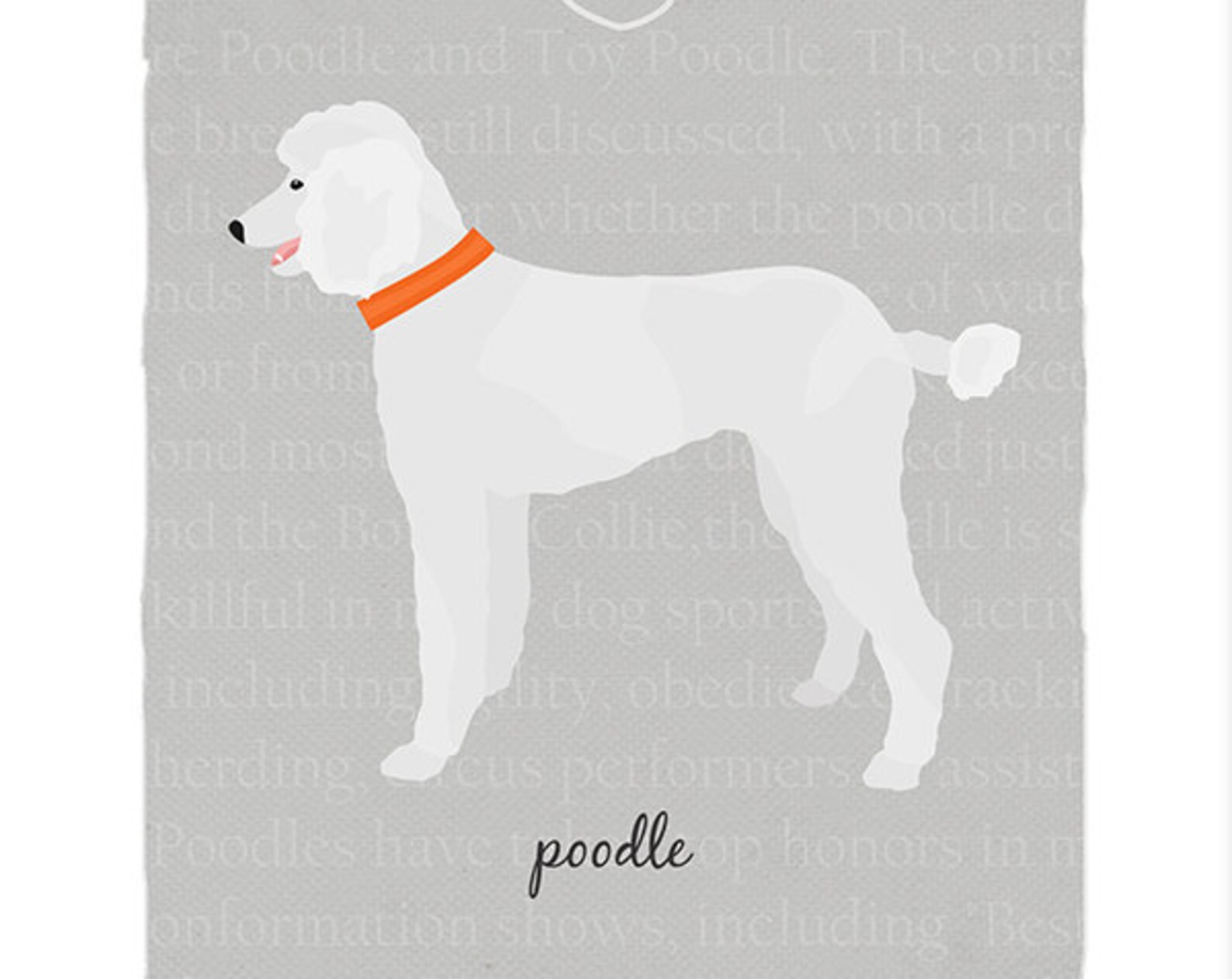 White Standard Poodle Custom Dog Art Print Etsy