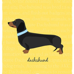 Black and Tan Dachshund Breed Custom Dog Art Print image 2