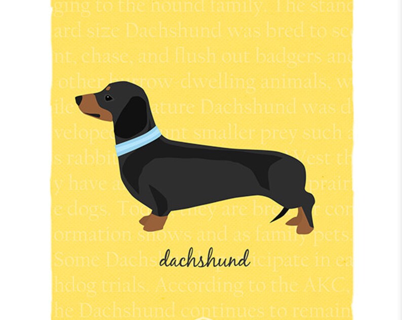 Black and Tan Dachshund Breed Custom Dog Art Print image 2
