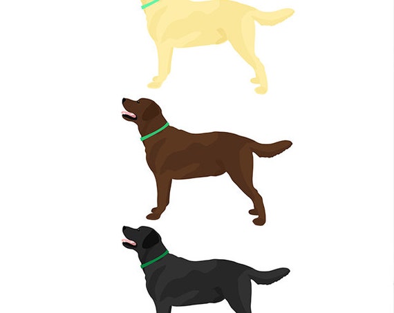 Labrador Retriever Color Chart - Modern Dog Art