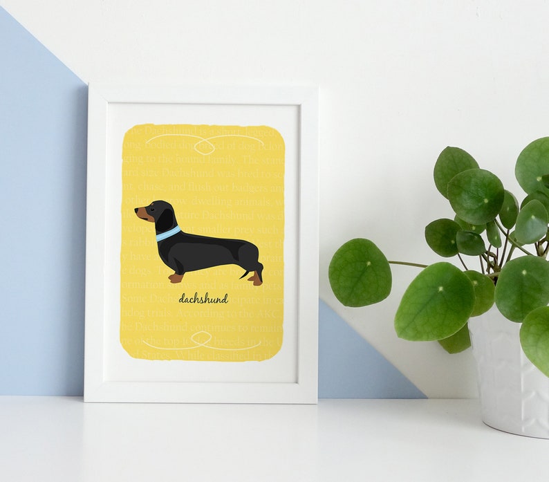 Black and Tan Dachshund Breed Custom Dog Art Print image 1