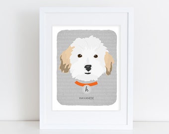Havanese - Dog Nursery Art Print - Custom