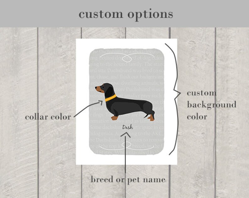 Black and Tan Dachshund Breed Custom Dog Art Print image 3