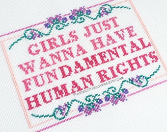 Feminist Cross Stitch Kit - Girls Just Wanna Have Fundamental Human Rights - Modern DIY Craft Project - Beginner Friendly - Pink Jewel Tones