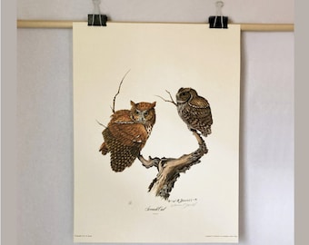 Vintage 1975 Limited Edition Lithographs of Screech Owls by James R Darnell Two Copies Available Signed Numbered 18 x 24