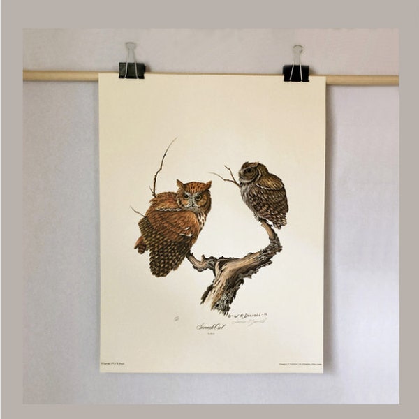 Vintage 1975 Limited Edition Lithographs of Screech Owls by James R Darnell Two Copies Available Signed Numbered 18 x 24