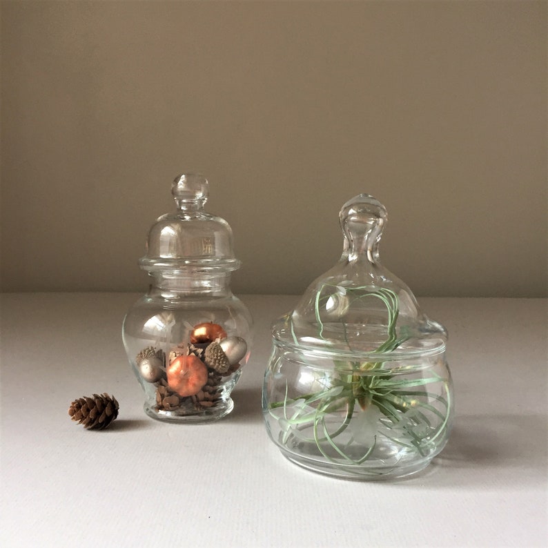 Etched Glass Apothecary Jars Initial H Monogram Jar With Lid Etsy