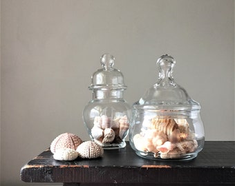 Etched Glass Apothecary Jars, Initial H Monogram Jar With Lid