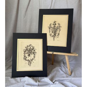 May include: Two framed botanical prints. Each print features a black and white floral design on a cream-colored background, set within a gold border and a black frame. The frames are displayed on a small wooden stand and a gray fabric.