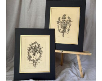 Set #1 Antique French Engravings from 1863 Design Reference Book Ornaments Vases & Decorations After the Masters CHOICE