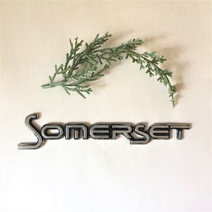 以下が含まれることがあります： 白い背景に緑の葉の枝が置かれた、黒い文字で「Somerset」と書かれた銀色の金属製のエンブレムです。