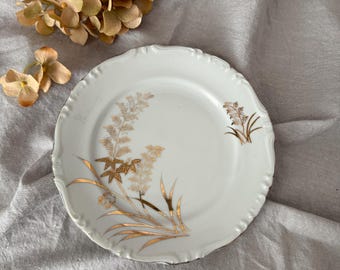 Vintage Porcelain Plate with Gold Foliate Embellishments by Royal Carlton Pattern 7806 7"