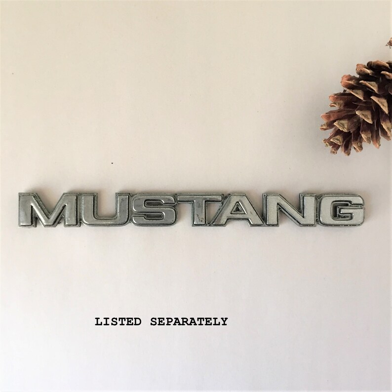 May include: Silver metal car emblem with the word "MUSTANG" in raised letters.