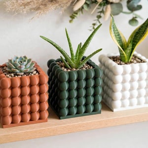 May include: Three square planters with a textured bubble surface in terracotta, dark green, and white. Each planter holds a small plant, including a succulent, an aloe vera, and a snake plant, all filled with small pebbles at the base.