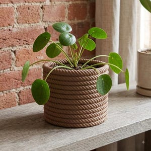 May include: A Pilea peperomioides plant with round, dark green leaves potted in a cylindrical planter featuring a textured, light brown rope-wrapped exterior. The plant sits upright with its stems extending outward from the center of the pot.