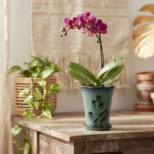 May include: A vibrant magenta orchid plant with green leaves potted in a tapered, teal-colored ceramic planter. The planter features a dark, glossy rim and a carved floral motif on the front, resting on a matching circular ceramic saucer.