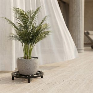 May include: A green palm plant in a textured gray stone pot resting on a low, round black metal plant stand with a decorative cutout pattern. The plant features multiple slender stems and feathery fronds, while the pot contains small white stones.