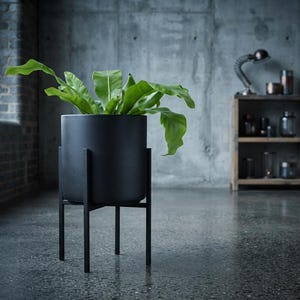 May include: A matte black cylindrical planter pot held by a matching black metal stand with four thin legs. A vibrant green leafy plant with long, wavy-edged foliage grows out of the top of the container, creating a contrast against the dark finish.