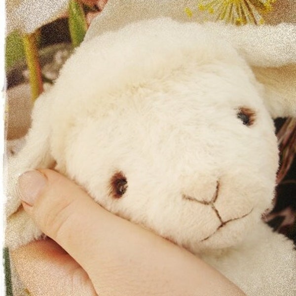 PDF Instant Download - Pattern / E-Book Baby Lamb " HOPE " :) - 5 Inch - by Eileen Seifert - Teddy-Manufaktur.de