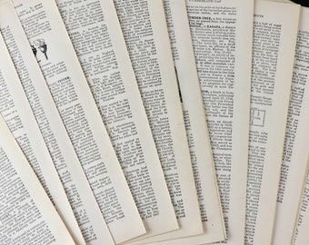 20 Vintage Encyclopedia Pages, 3 Columns, trimmed for paper craft, printing, painting, mixed media, altered art book