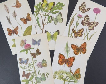 Butterfly Pictures.  5 pages of vintage botanical prints for paper craft, collage, and scrapbooking.  Upcycle decor ideas.  Insects, moths.