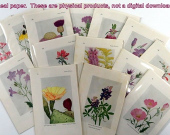 7 Vintage Wildflowers book pages, Color Flower Illustrations, paper pack supplies for journal scrapbook collage papercraft